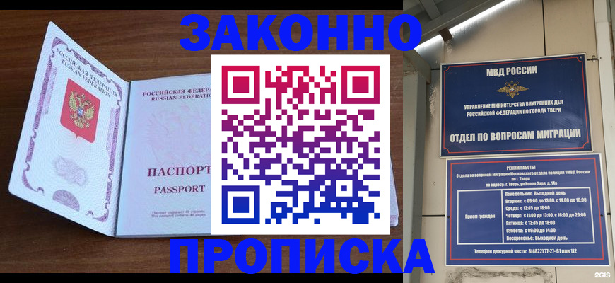 прописка поиск в Купино